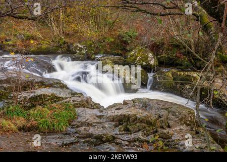 Aira High Force Waterfall bei Ullswater im Lake District, Cumbria. Stockfoto