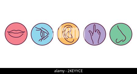Fünf Farbsymbole für menschliche Sinne eingestellt. Elemente: Vision, Hören, Geruch, Geschmack, Berührung Stock Vektor