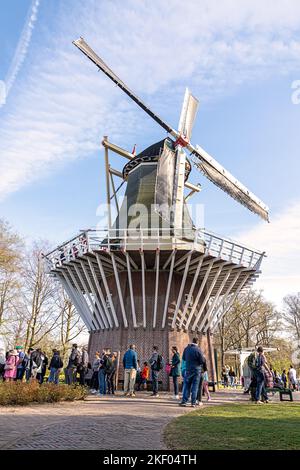 14. April 2022 Lisse, Niederlande. Schöner öffentlicher Garten mit blühenden Frühlingsblumen. Stockfoto