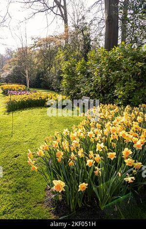 14. April 2022 Lisse, Niederlande. Schöner öffentlicher Garten mit blühenden Frühlingsblumen. Stockfoto