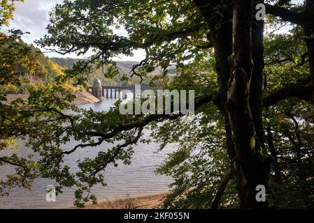 Blick auf den walisischen Stausee im Sommer durch Bäume Stockfoto