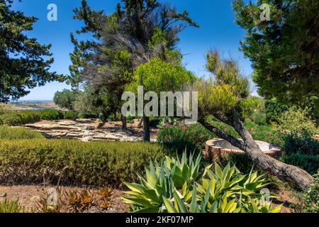 Agrigento, Sizilien, Italien - 12. Juli 2020: Garten Kolymbetra, im archäologischen Park des Tals der Tempel von Agrigento Stockfoto