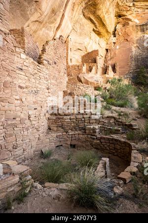 Das Birds Nest liegt hoch über dem Square House Tower in Mesa Verde Stockfoto