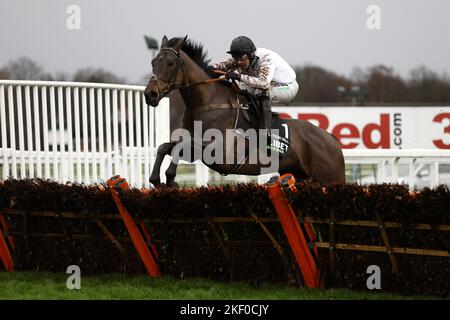 Aktenfoto vom 08-01-2022 von Constitution Hill, von dem Nicky Henderson berichtete, dass er in seiner Schulzeit vor einem möglichen Lauf in der Coral Hurdle in Ascot am Samstag „unglaublich“ gesprungen sei. Ausgabedatum: Dienstag, 15. November 2022. Stockfoto