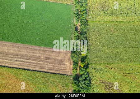 Luftaufnahme der landwirtschaftlichen Felder. Luftaufnahme von oben von fliegender Drohne eines Landes mit gesät grünen Feldern in der Landschaft im Frühling Tag. Landwirtschaft Stockfoto