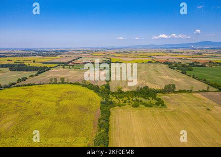 Luftaufnahme der landwirtschaftlichen Felder. Luftaufnahme von oben von fliegender Drohne eines Landes mit gesät grünen Feldern in der Landschaft im Frühling Tag. Landwirtschaft Stockfoto