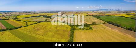 Luftaufnahme der landwirtschaftlichen Felder. Luftaufnahme von oben von fliegender Drohne eines Landes mit gesät grünen Feldern in der Landschaft im Frühling Tag. Landwirtschaft Stockfoto