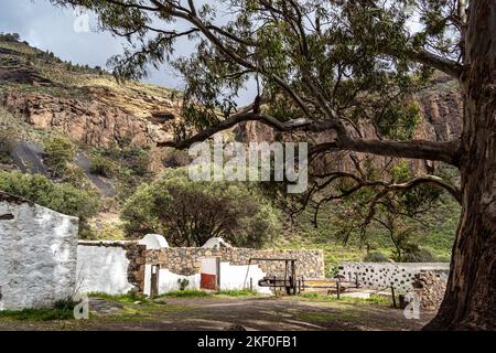 Vulkanische Landschaft des Krater Caldera de Bandama mit kreisförmigem Wanderweg. Gran Canaria, Spanien in Europa Stockfoto