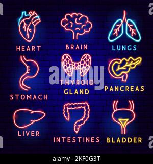 Körperorgan-Beschriftungssatz Stock Vektor