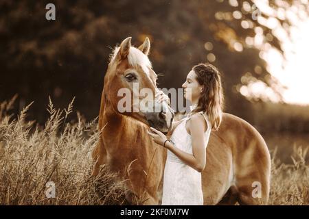Frau und Haflinger Stockfoto