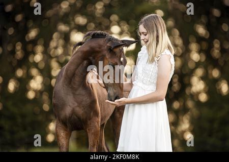 Frau und österreichisches Warmblutfohlen Stockfoto