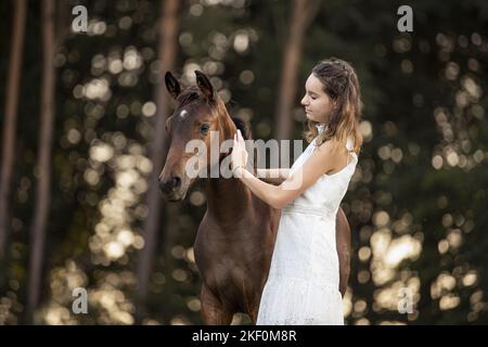 Frau und österreichisches Warmblutfohlen Stockfoto