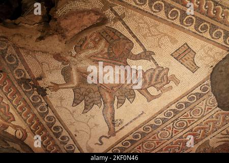 Mosaiken in der römischen Villa von Chedworth, Yanworth, Cheltenham, Gloucestershire, England, VEREINIGTES KÖNIGREICH. Stockfoto