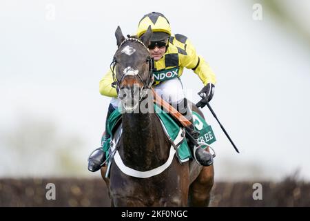 Filebild vom 10-04-2021 von Shishkin, für den der Tingle Creek „Teil des Plans“ ist - aber Nicky Henderson weigert sich, Sandown's Vorweihnachtsfeature als Ausgangspunkt des zweifachen Cheltenham Festival-Gewinners zu bestätigen. Ausgabedatum: Dienstag, 15. November 2022. Stockfoto