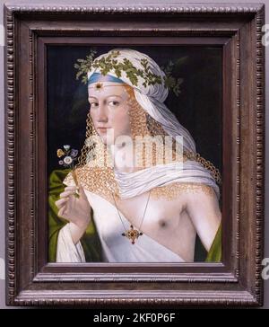 BARTOLOMEO VENETO, idealisiertes Porträt einer jungen Frau als Flora, Ca. 1520, Städel Museum, Frankfurt, Deutschland Stockfoto