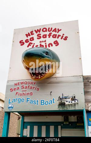 Ein modell eines haie-Kopfes aus dem jahr 3D hilft bei der Werbung für Newquay Sea Safaris und Angeltouren auf Newquay Harbour, Cornwall. Stockfoto