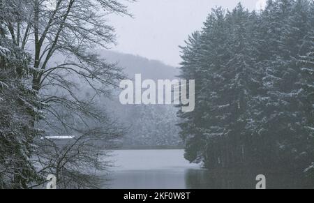 Winterwälder im Freien in der Wintersaison Stockfoto