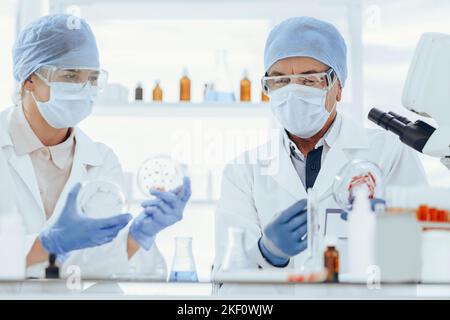 Mikrobiologie Wissenschaftler studieren eine neue Art von Bakterien . Wissenschaft und Gesundheit. Stockfoto