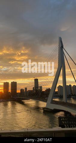 Eine vertikale Aufnahme der Erasmus-Brücke über den Fluss Nieuwe Maas während des Sonnenuntergangs in Rotterdam Niederlande Stockfoto