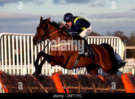 Datei-Foto vom 04-01-2020 von Fiddlerontheroof, der versuchen wird, eine bessere als im letzten Jahr zu gehen, wenn er in der Coral Gold Cup in Newbury am 26. November ansteht. Ausgabedatum: Dienstag, 15. November 2022. Stockfoto