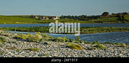 Lagune im Cemlyn Bay North Wales Wildlife Trust Reserve, Site of Special Scientific Interest an der Nordküste Isle of Anglesey, North Wales UK, Summe Stockfoto