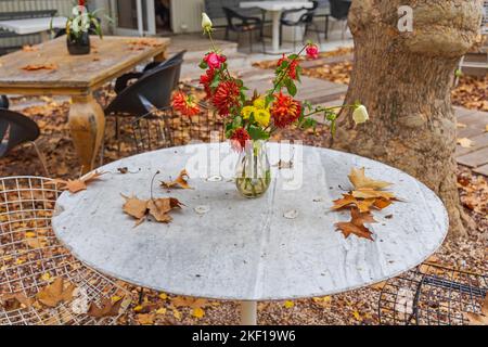 Verwelkte Blumen in Vase auf Gartentisch Herbstliche Farben Stockfoto