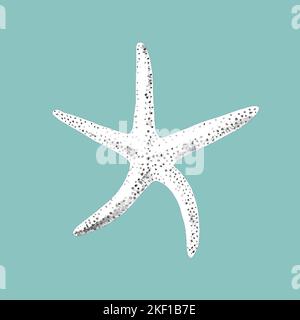 Eine grafische Gravur eines Seestern. Realistische Darstellung von Seestern in Schwarz-Weiß Stockfoto