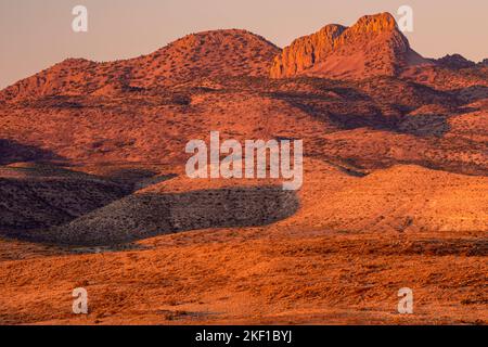 Wüste von West Texas im Morgengrauen - Davis Mountains, in der Nähe von Fort Davis, Texas, USA Stockfoto