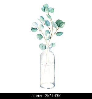 Eukalyptuszweig in Vase, Flasche, Glas. Silberdollar. Aquarell handgezeichnete botanische Illustration isoliert auf weißem Hintergrund. Umweltfreundlich Stockfoto