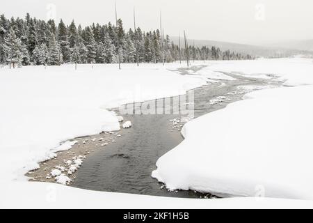 Frosted Features in der Nähe von Midway Geyser Basin, Yellowstone National Park, Wyoming, USA Stockfoto