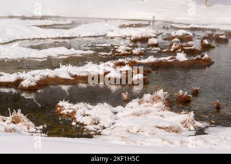 Frosted Features in der Nähe von Midway Geyser Basin, Yellowstone National Park, Wyoming, USA Stockfoto