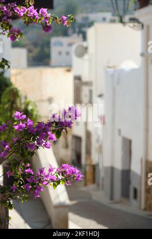 Charmante leere Straße des Dorfes Mojacar mit hübschen violetten Blumen im Vordergrund, vertikales Bild. Berühmte Orte, Sehenswürdigkeiten und Reiseziele von Stockfoto