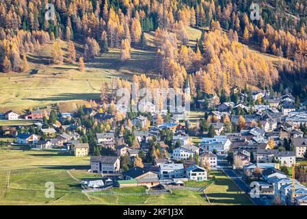 Dorf La Punt Chamues-ch im Engadiner Tal, Schweiz mit goldfarbenen Lärchen am Berghang Stockfoto