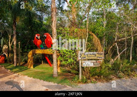 Eingang zum Buraco das Araras, einem großen natürlichen Dolch in der Nähe von Jardim, südlichem Pantanal, Mato Grosso do Sul, Brasilien, das als Lebensraum für Aras bekannt ist Stockfoto