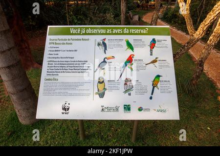 Schild mit Vogelarten am Eingang zum Buraco das Araras, einem natürlichen Sinkhole in der Nähe von Jardim, südliches Pantanal, Mato Grosso do Sul, Brasilien Stockfoto