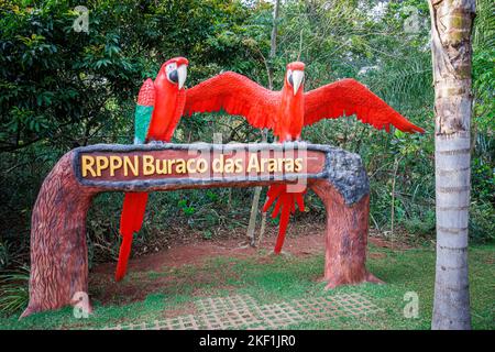 Eingang zum Buraco das Araras, einem großen natürlichen Dolch in der Nähe von Jardim, südlichem Pantanal, Mato Grosso do Sul, Brasilien, das als Lebensraum für Aras bekannt ist Stockfoto