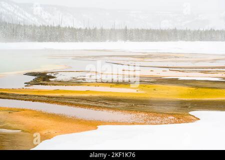 Grand Prismatic Spring Thermal Area im Winter, Yellowstone National Park, Wyoming, USA Stockfoto