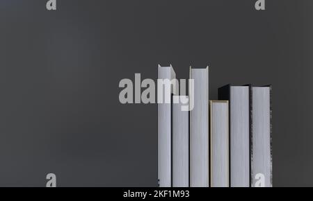 Eine Illustration einer 3D gerenderten Bücher, die in einer Reihe auf grauem Hintergrund angeordnet sind und Platz für Text bieten Stockfoto