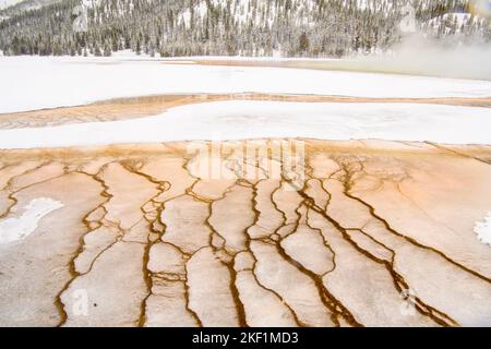 Bakterienmatten im Grand Prismatic Spring (Winter), Yellowstone National Park, Wyoming, USA Stockfoto