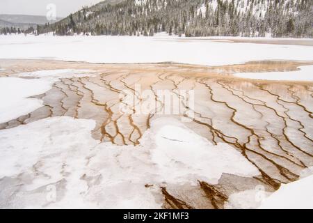 Bakterienmatten im Grand Prismatic Spring (Winter), Yellowstone National Park, Wyoming, USA Stockfoto