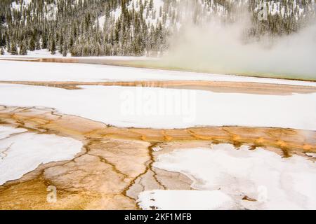 Bakterienmatten im Grand Prismatic Spring (Winter), Yellowstone National Park, Wyoming, USA Stockfoto