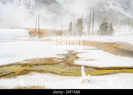 Black Sand Geyser Basin im Winter - opalescent Pool, Yellowstone National Park, Wyoming, USA Stockfoto