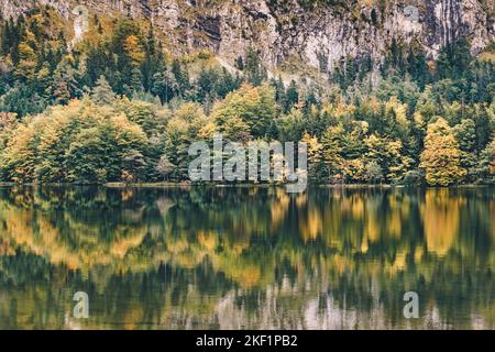 Laudachsee in Oberösterreich im Herbst. Malerische Landschaft mit Wald Bäume Reflexion. Stockfoto