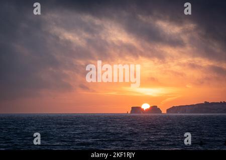 Die Sonne geht über dem Old Harry Rocks Dorset UK auf