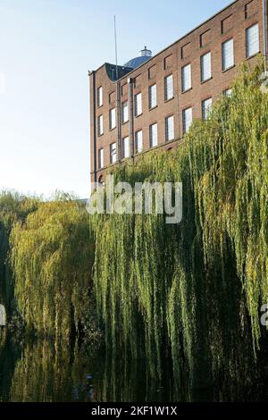 Historischen St James Mill, Heimat der Jarrolds Drucker, neben dem Fluss Wensum in Whitefriars, Norwich Stockfoto