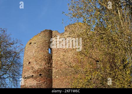 Kuh-Turm, Norwich, Norfolk, Großbritannien Stockfoto