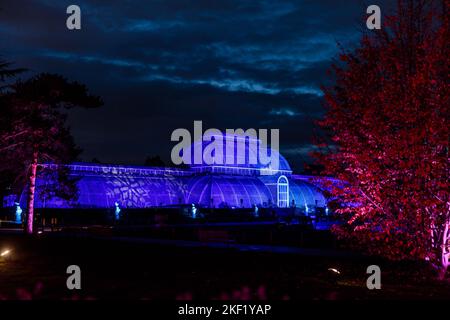 Kew Gardens, London, Großbritannien. 15.. November 2022. Mehr als eine Million funkelnde Lichter erleuchten die ikonischen Kew Gardens, während ihre Weihnachtsbeleuchtung für ein Jahr von 10. zurückkehrt. Weihnachten in Kew ist ein Ausflug für Besucher jeden Alters, der von Mittwoch, 16. November 2022, bis Sonntag, 8. Januar 2023 stattfindet. Foto von Amanda Rose/Alamy Live News Stockfoto