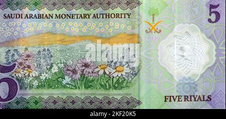 Großes Fragment der Rückseite des neuen Polymers 5 SAR fünf Saudi-Arabien Riyals Geldscheine Banknoten Serie 1441 AH 2020 verfügt über ein Feld von Stockfoto