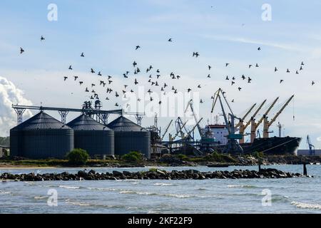 Blick auf den Hafen mit Scharen von fliegenden Vögeln, Getreideterminal-Silos, vielen Küstenkranen und Großschiffen Stockfoto