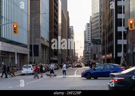 Ottawa, Kanada - 5. November 2022: Menschen überqueren Straße in der Innenstadt. Stadtbild mit Verkehr auf der Straße. Crosswalk in der Stadt Stockfoto